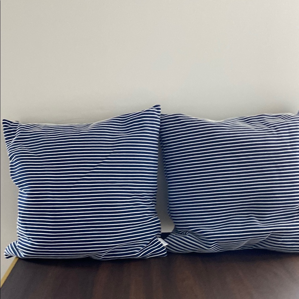 Calvin Klein Blue and White Striped Pillows